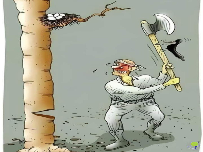 Die abgetrennten Wurzeln