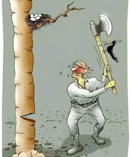 Die abgetrennten Wurzeln