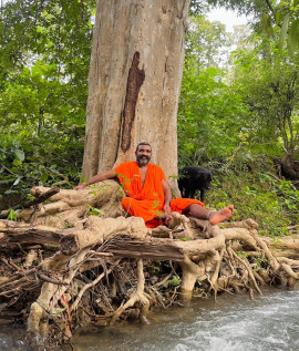 Philosophie der Logik