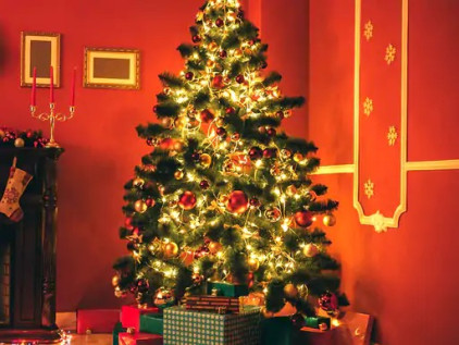 Germany: Apples planted on tree for the first time on Christmas Day